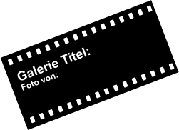 Galerie Titel: Foto von: